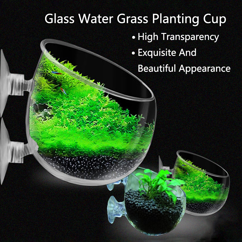 Aquarium Fish Enrichment - Glass Aquarium Decoration Hanging Cup Fish