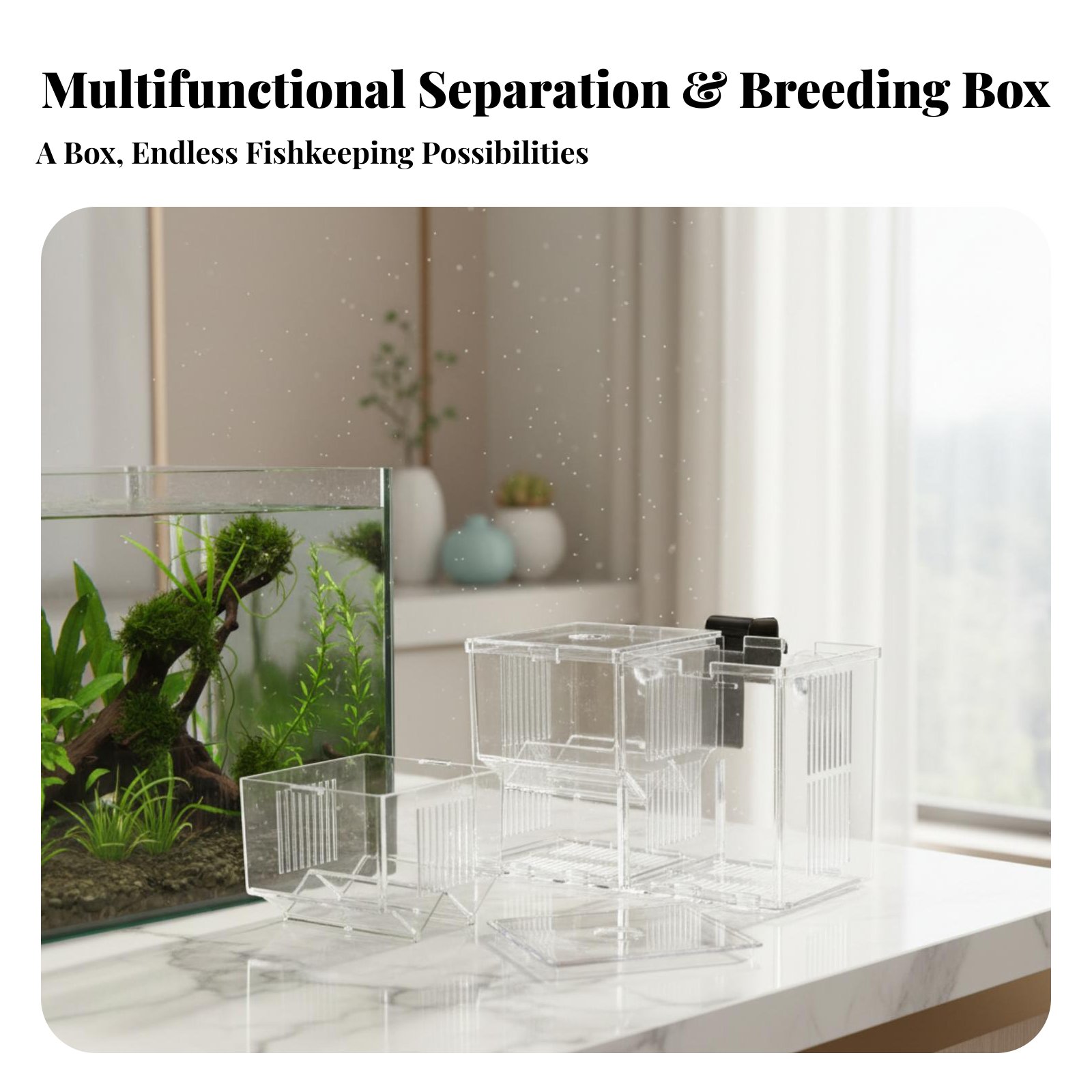 Aquatic Habitat Hatchery Box P - Aquarium Fish Tank 리뷰 및 가격