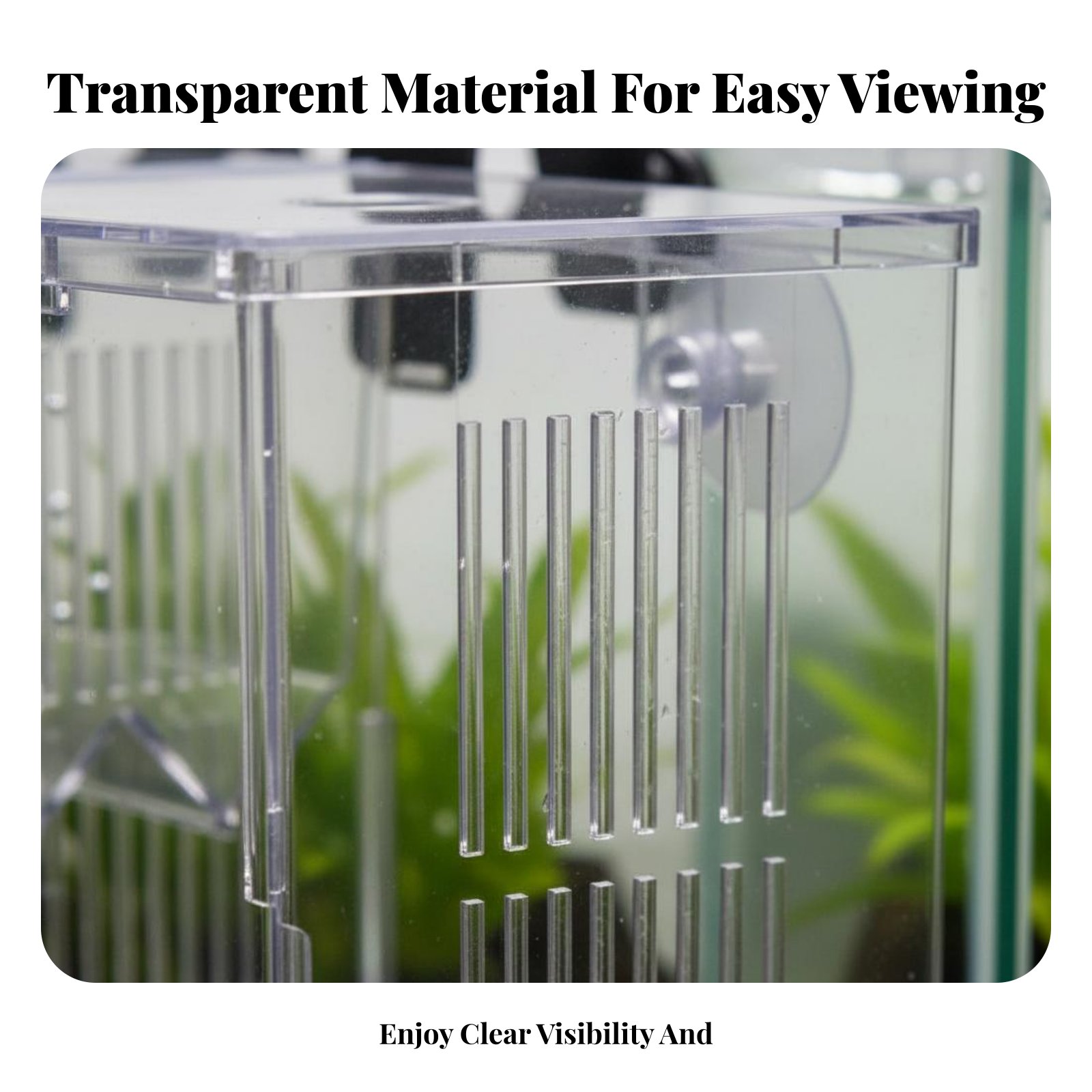 Aquatic Habitat Hatchery Box P - Aquarium Fish Tank 리뷰 및 가격