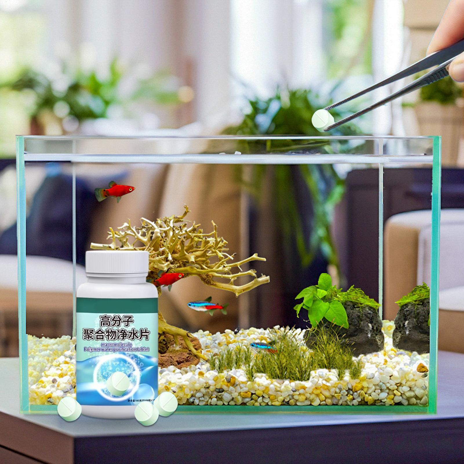 Fish Can Algae Remover Aquariu - Aquarium Fishing 리뷰 및 가격