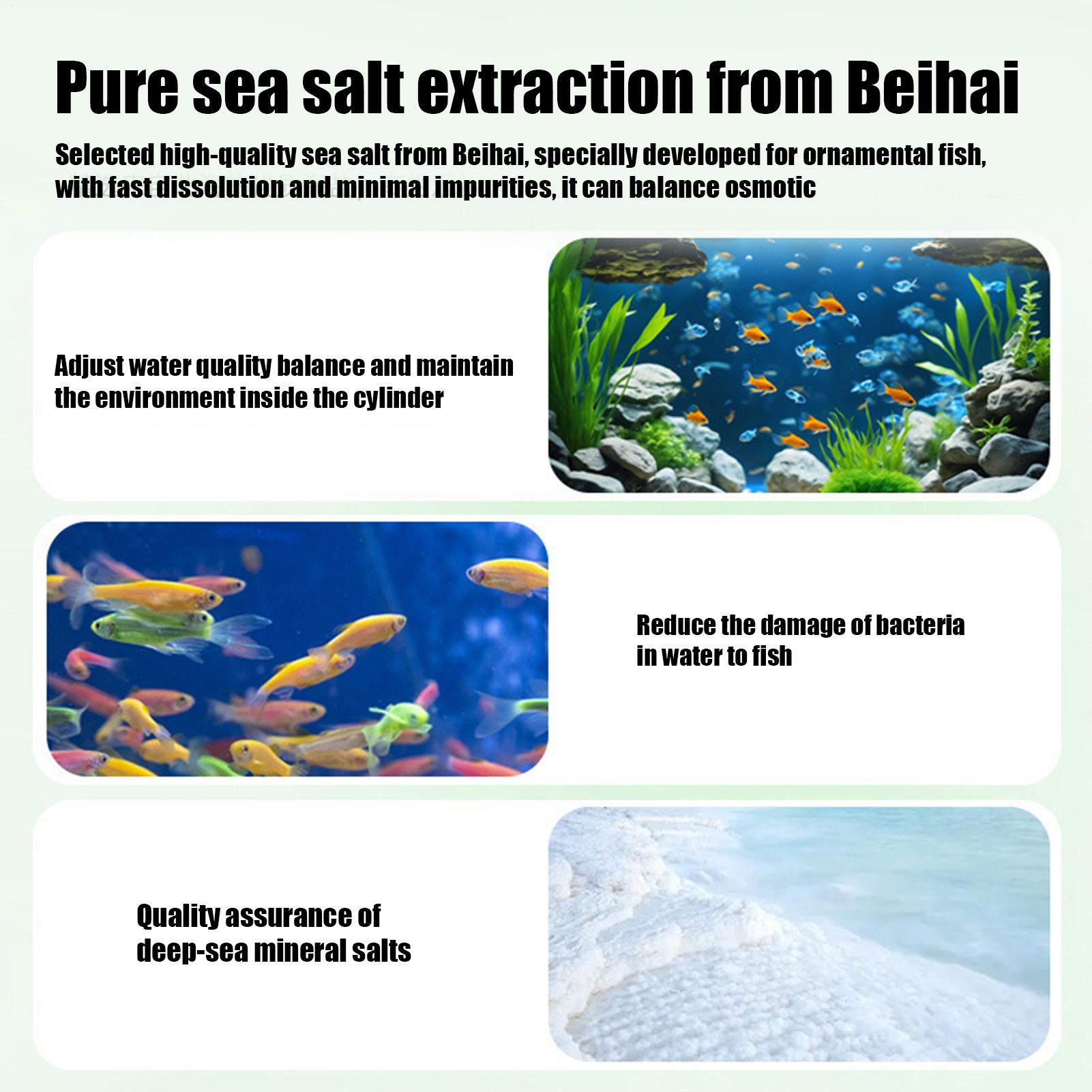 Fish Can Algae Remover Aquariu - Aquarium Fishing 리뷰 및 가격