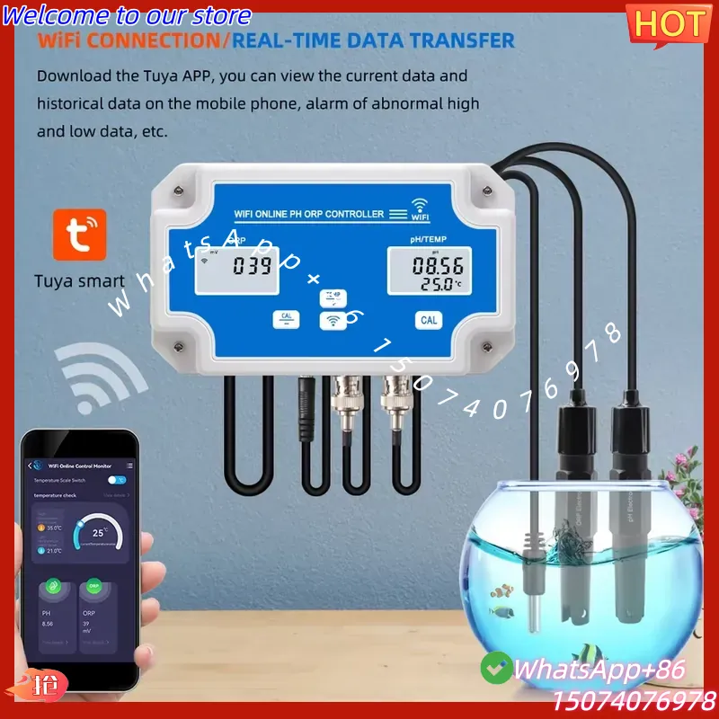 2026 Wireless WiFi Online Cont - Aquarium Fish Online 리뷰 및 가격