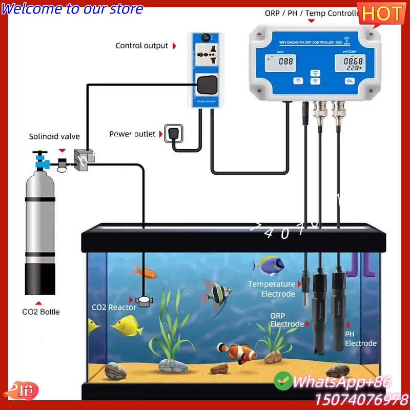 2026 Wireless WiFi Online Cont - Aquarium Fish Online 리뷰 및 가격