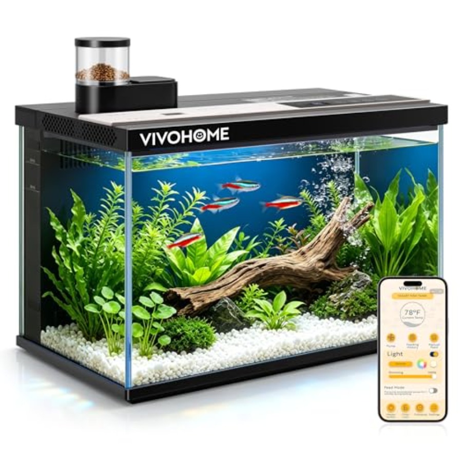 5 Gallon Smart Fish Tank with  - Aquarium Fish Feeder 리뷰 및 가격