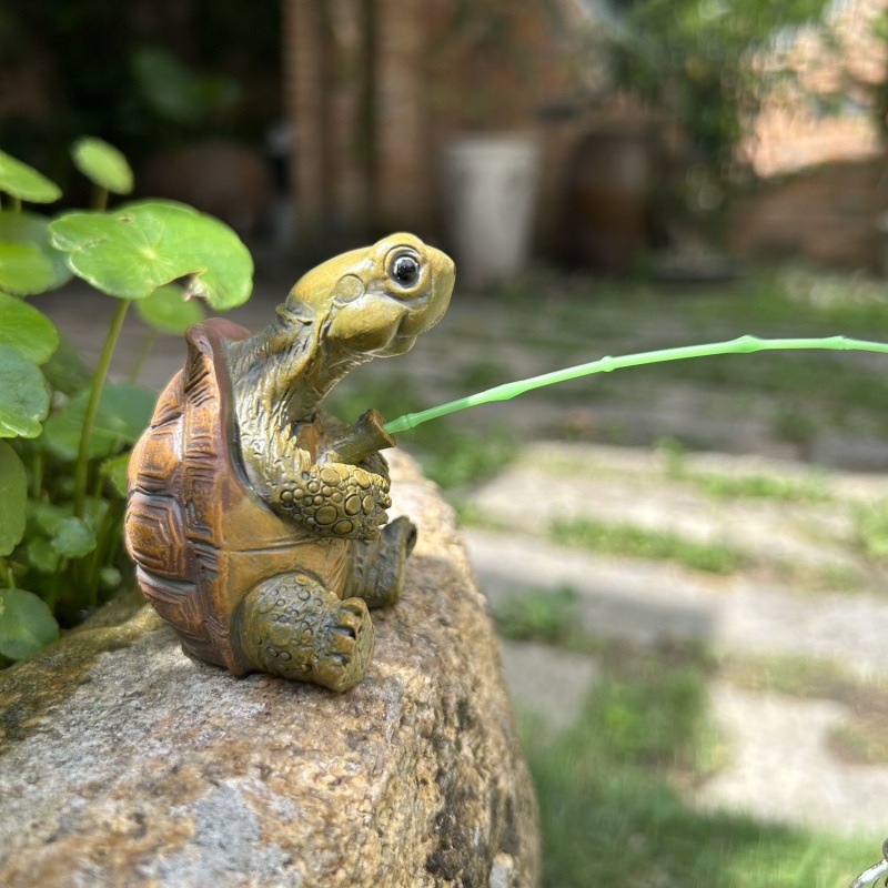 Turtle fishing fish tank aquar - Aquarium Fish To Buy 리뷰 및 가격