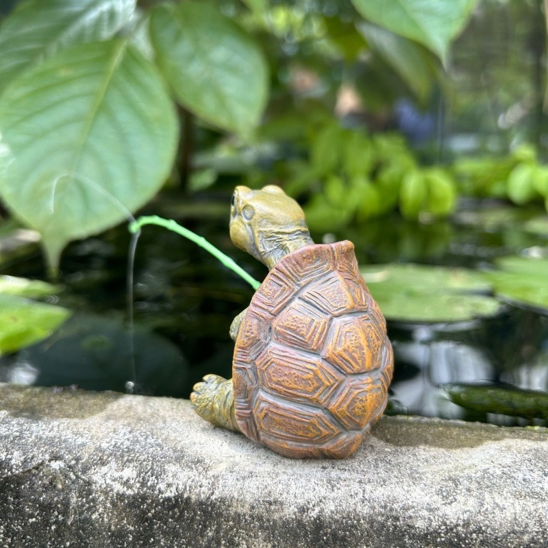 Turtle fishing fish tank aquar - Aquarium Fish To Buy 리뷰 및 가격