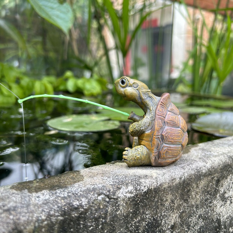 Turtle fishing fish tank aquar - Aquarium Fish To Buy 리뷰 및 가격