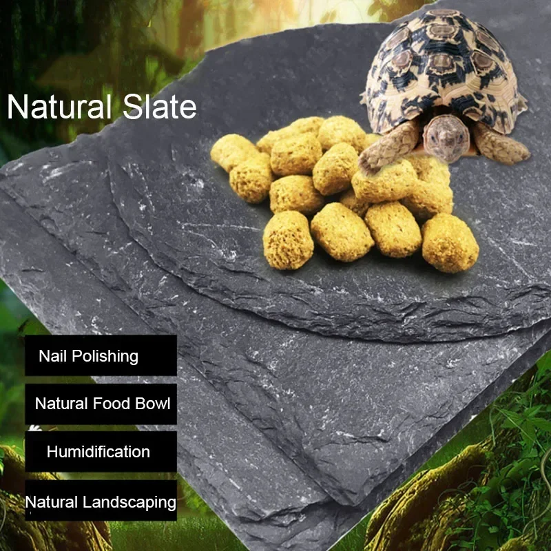 Natural Slate Aquarium Pet Rep - Aquarium Fish Feeder 리뷰 및 가격