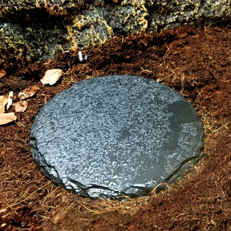 Natural Slate Aquarium Pet Rep - Aquarium Fish Feeder 리뷰 및 가격