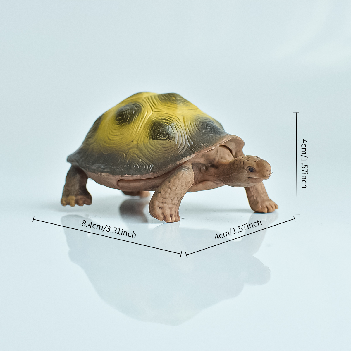 Painted Realistic Animal Turtl - Aquarium Fish To Buy 리뷰 및 가격