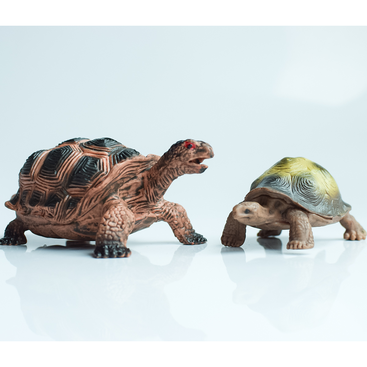 Painted Realistic Animal Turtl - Aquarium Fish To Buy 리뷰 및 가격