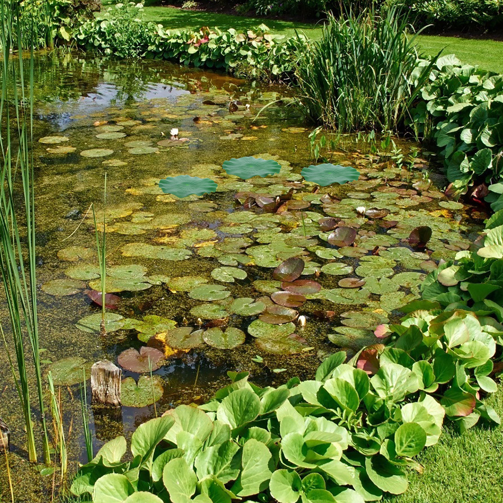 15Pcs Artificial Lotus Leaves  - Aquarium Fish Tank 리뷰 및 가격
