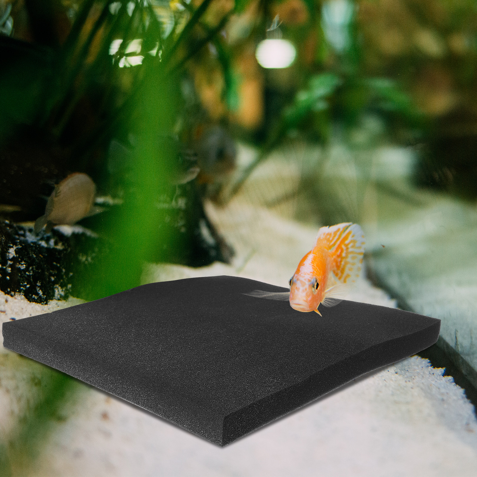 Aquarium Replacement Filter Sp - Aquarium Fish With Long Lifespan 리뷰 및 가격