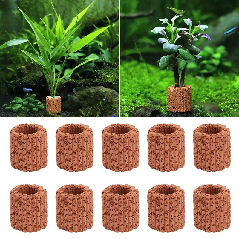 Aquatic Plant Fixed Ring for A - Aquarium Fish Enrichment 리뷰 및 가격