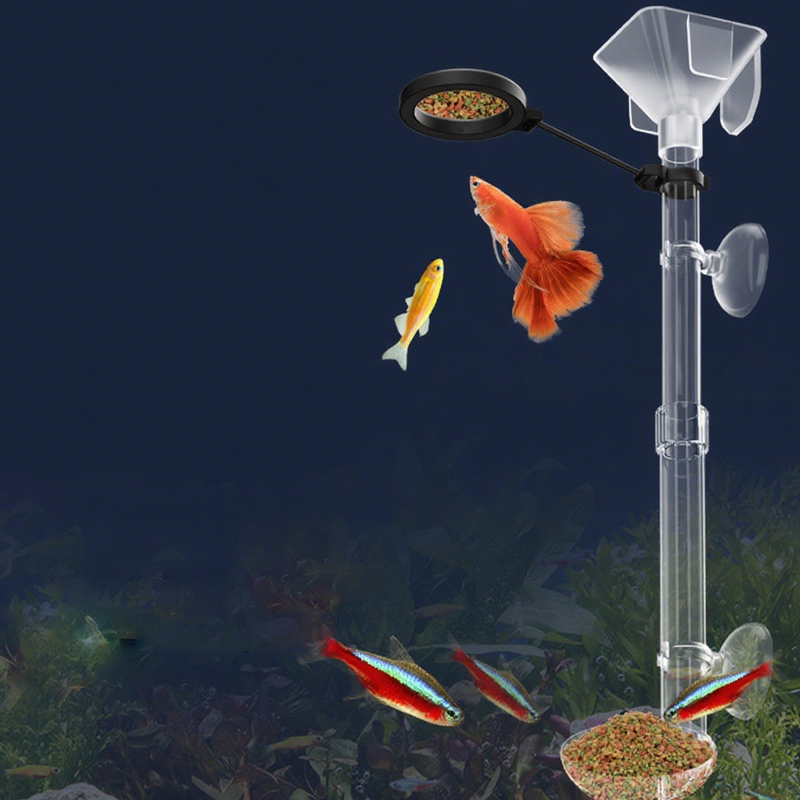 Acrylic Aquarium Fish Feeder T - Aquarium Fish Feeder 리뷰 및 가격