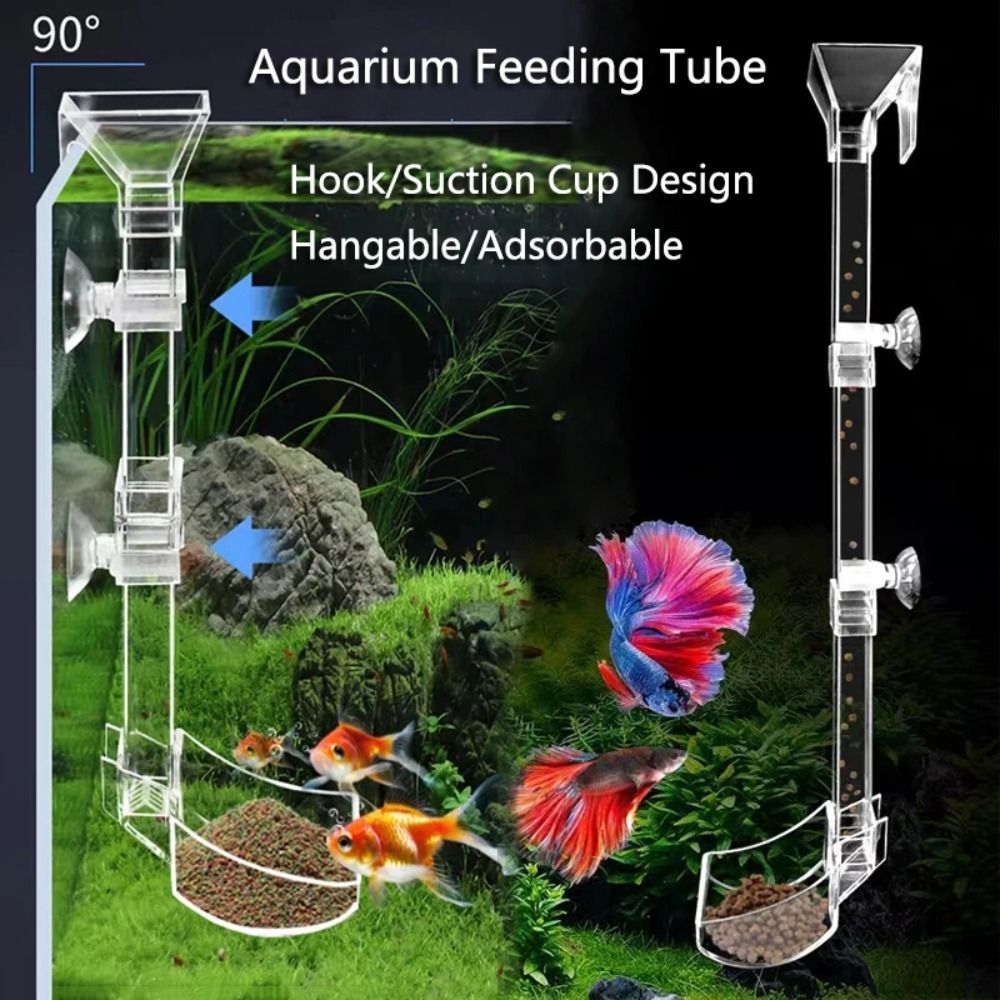 Transparent Aquarium Fish Tank - Aquarium Fish Feeder 리뷰 및 가격