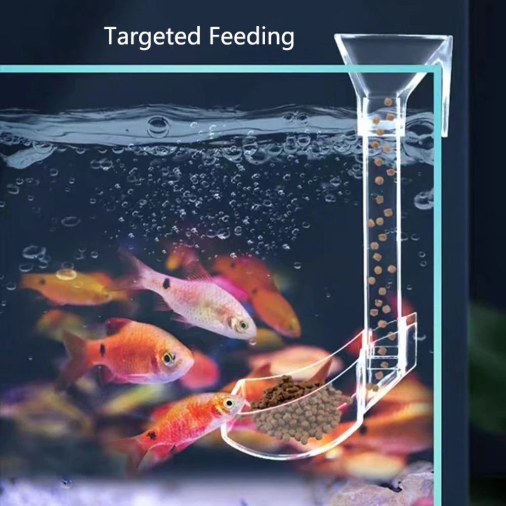 Transparent Aquarium Fish Tank - Aquarium Fish Feeder 리뷰 및 가격