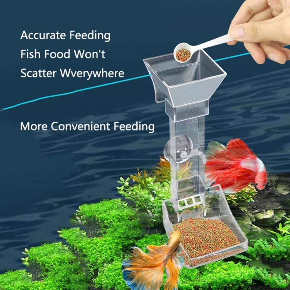 Transparent Aquarium Fish Tank - Aquarium Fish Feeder 리뷰 및 가격