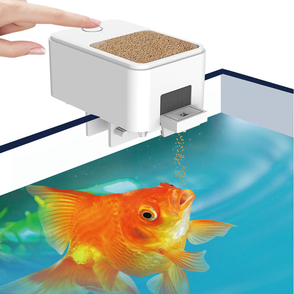 100ML Large Capacity Fish Feed - Aquarium Fish Feeder 리뷰 및 가격