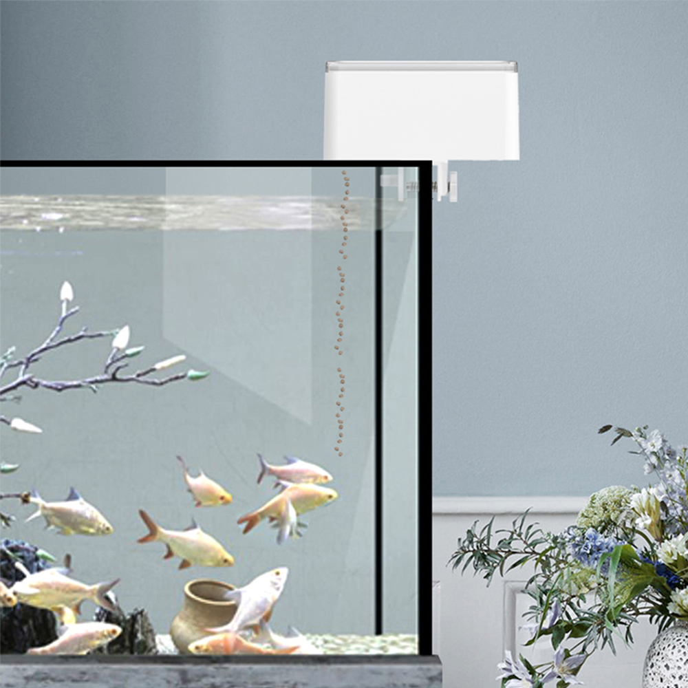 100ML Large Capacity Fish Feed - Aquarium Fish Feeder 리뷰 및 가격