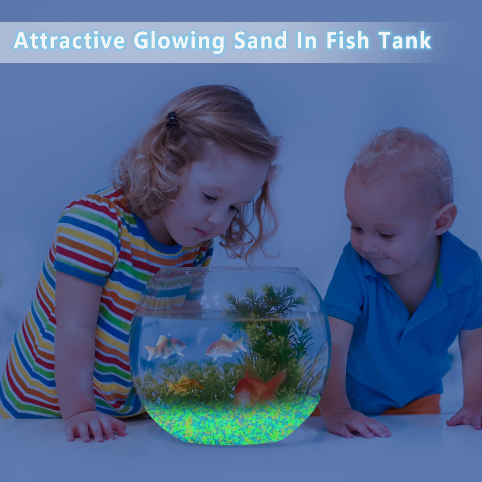 1000Pcs Luminous Sand Glow In  - Aquarium Fishing 리뷰 및 가격