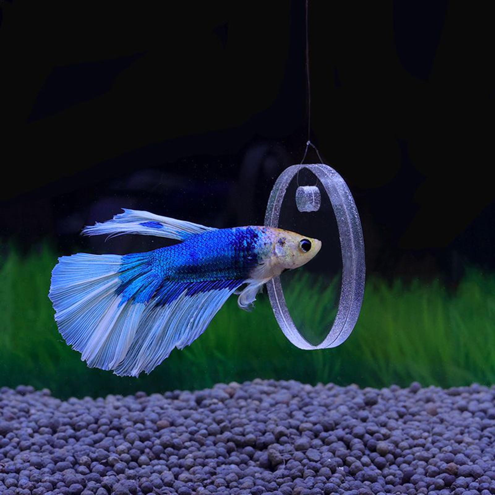 2Pcs Floating Feeding Ring Wit - Aquarium Fish Feeder 리뷰 및 가격