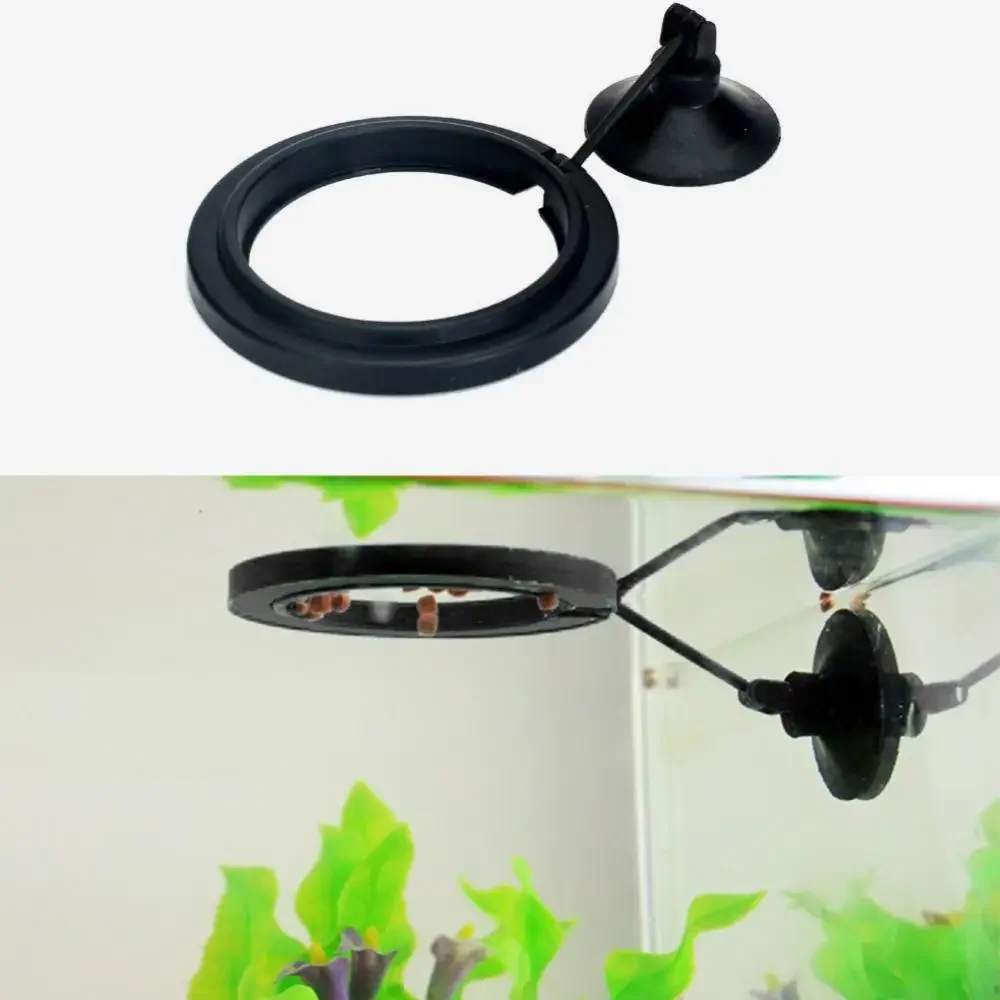 Feed Suction Cup Aquarium Feed - Aquarium Fish To Buy 리뷰 및 가격