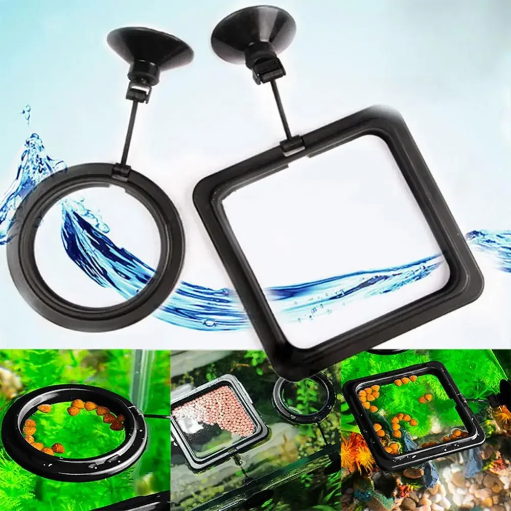 Feed Suction Cup Aquarium Feed - Aquarium Fish To Buy 리뷰 및 가격