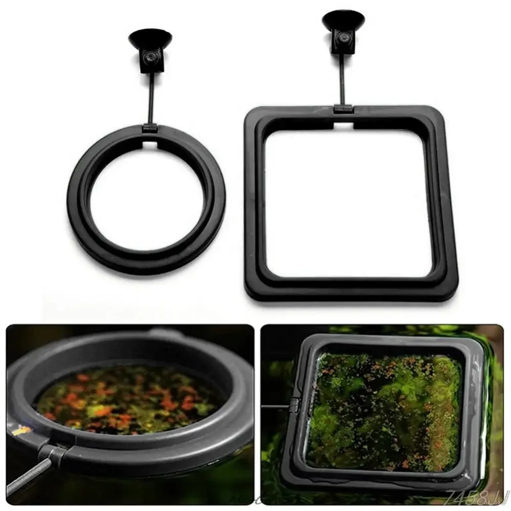 Feed Suction Cup Aquarium Feed - Aquarium Fish To Buy 리뷰 및 가격