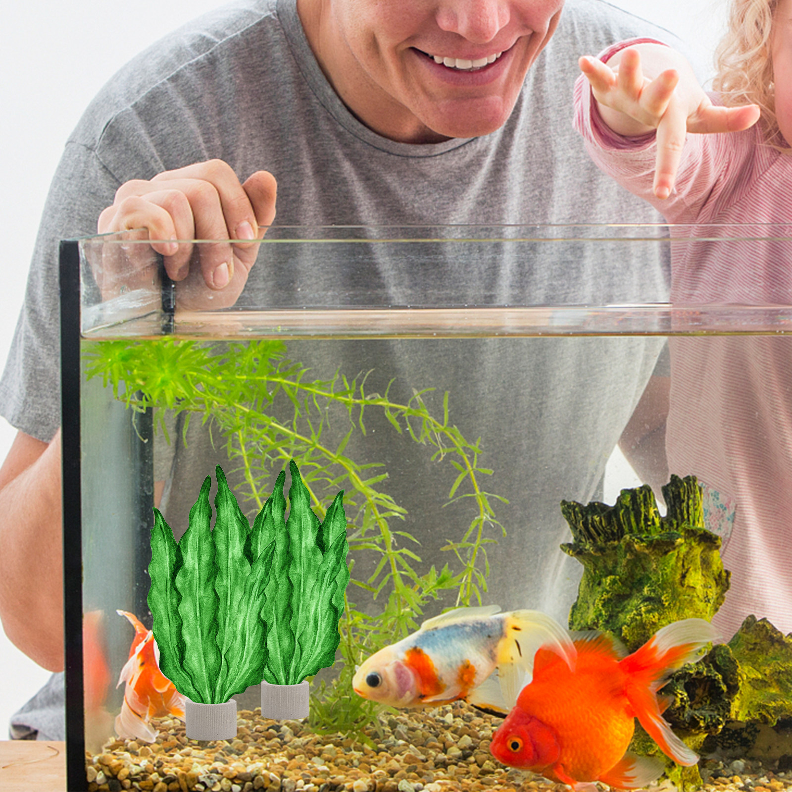 5Pcs Premium Pottery Water Pla - Aquarium Fish Tank 리뷰 및 가격