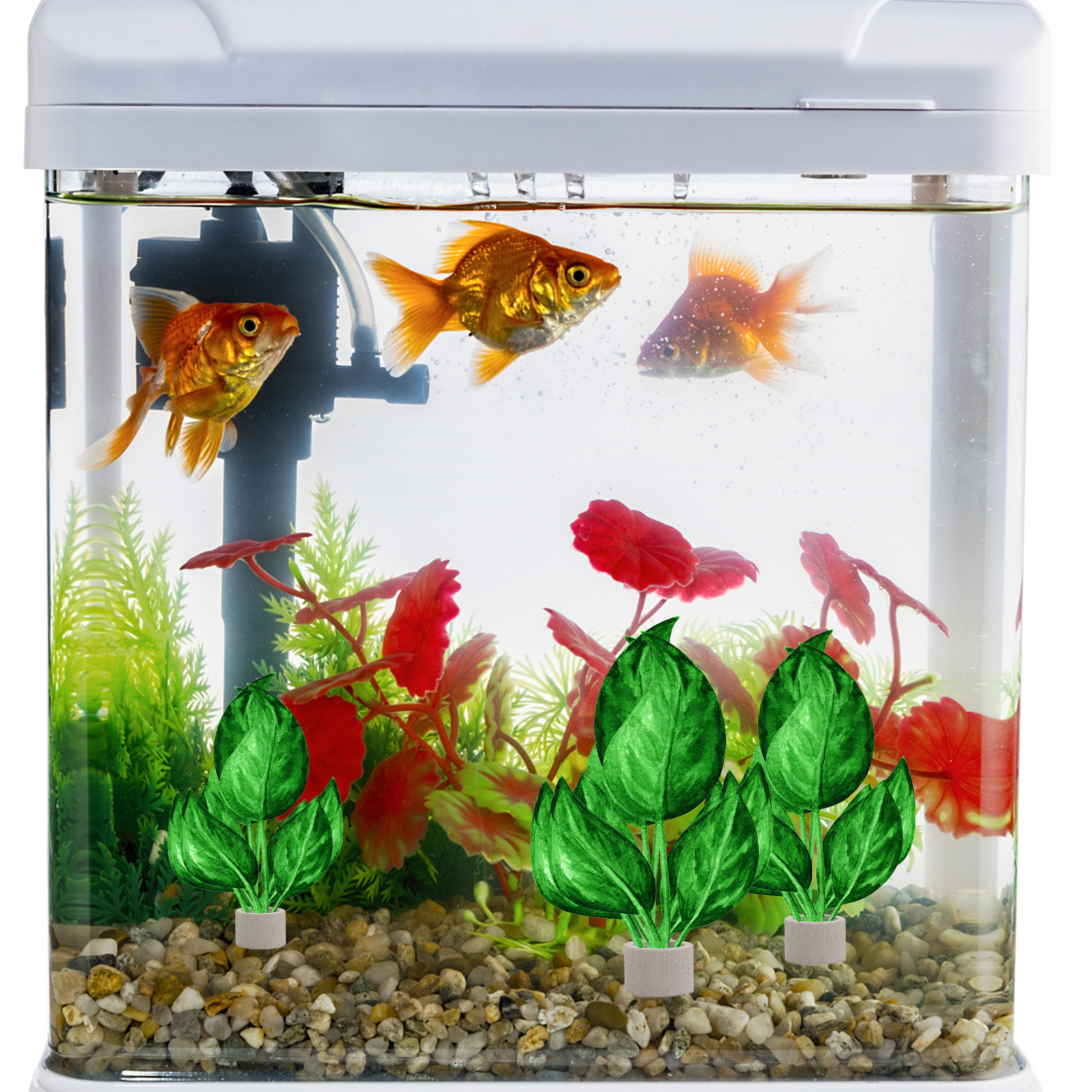 5Pcs Premium Pottery Water Pla - Aquarium Fish Tank 리뷰 및 가격