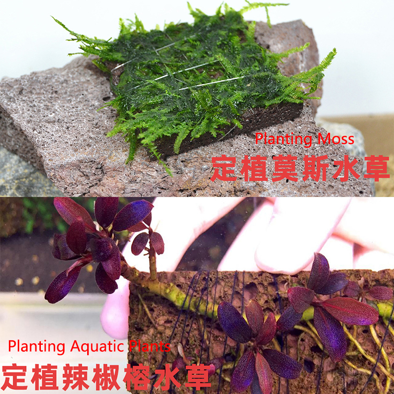 Volcanic Aquarium Decoration F - Aquarium Fish Enrichment 리뷰 및 가격