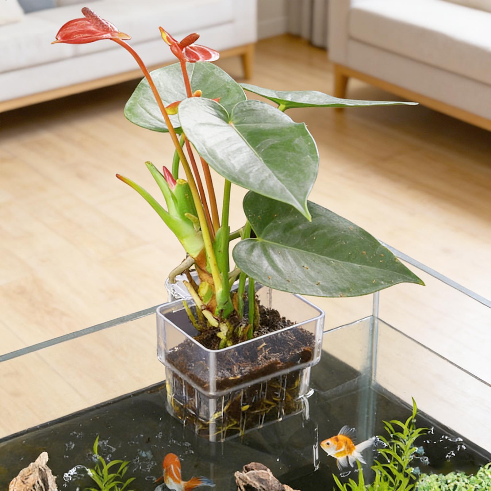 Aquarium Plant Basket Transpar - Aquarium Fish Enrichment 리뷰 및 가격