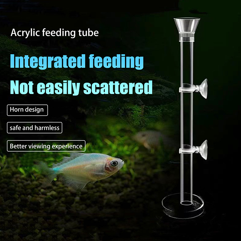 [H]Acrylic Aquarium Feeder Tub - Aquarium Fish Feeder 리뷰 및 가격
