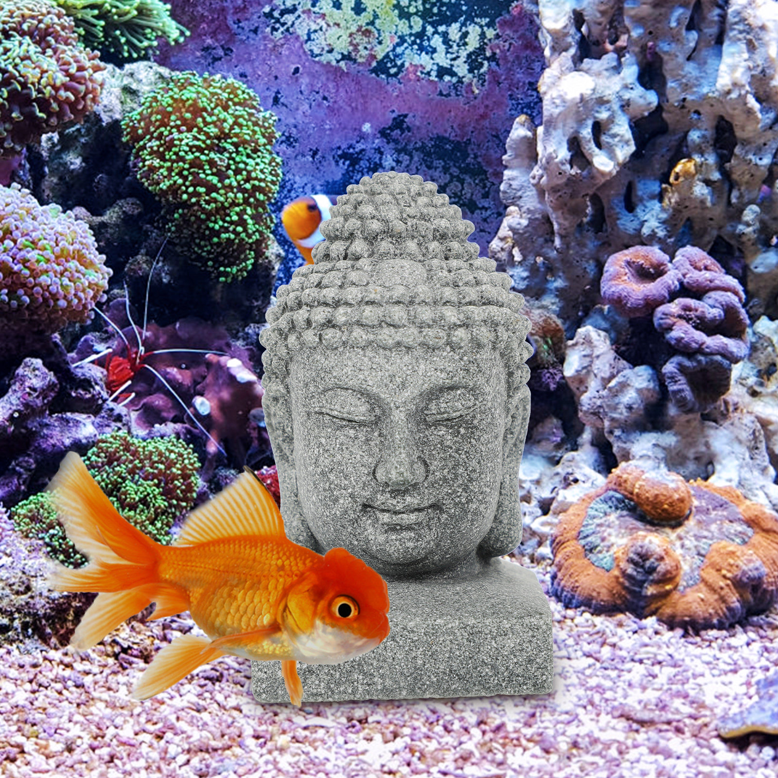 Desktop Buddha Statue Chinese  - Aquarium Fish Tank 리뷰 및 가격