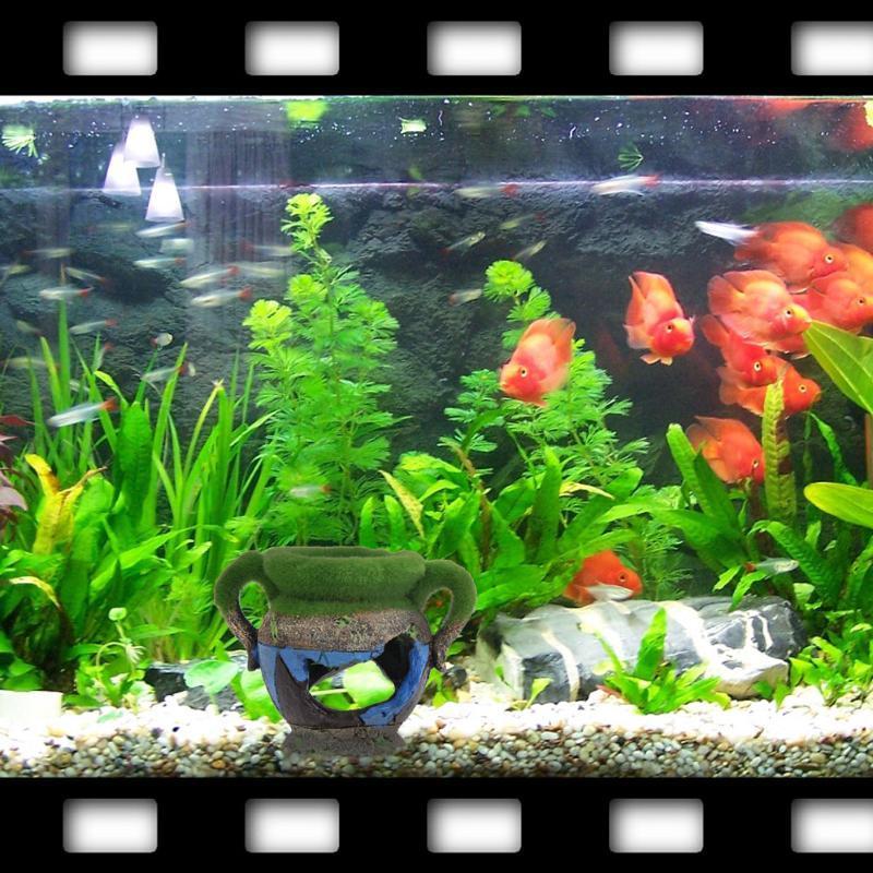 1pc Resin Vase with Moss Aquar - Aquarium Fish Enrichment 리뷰 및 가격