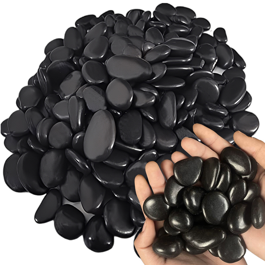 200g Black High Polished Natur - Aquarium Fishing 리뷰 및 가격