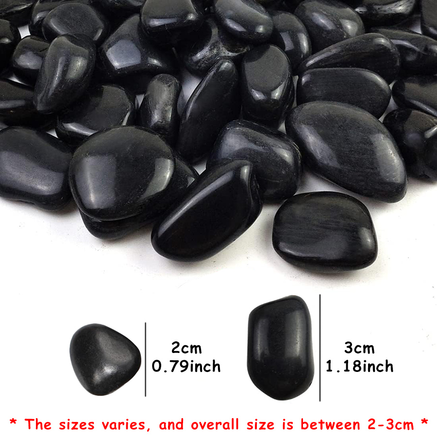 200g Black High Polished Natur - Aquarium Fishing 리뷰 및 가격
