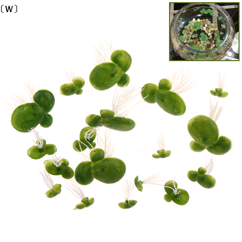 〔W〕18pcs/set Aquarium Fish Tan - Aquarium Fish Enrichment 리뷰 및 가격
