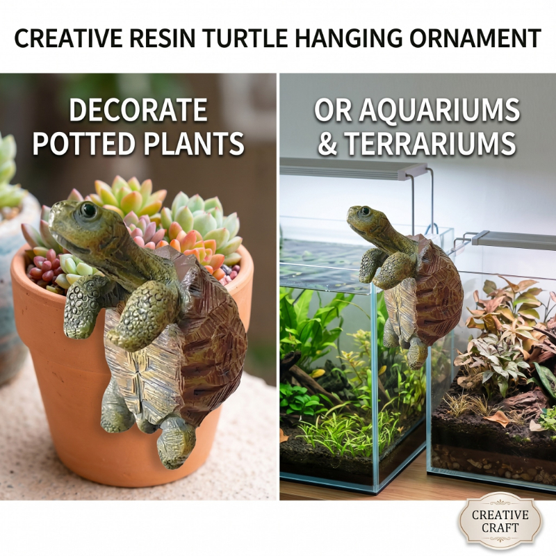 Fishing Turtle Hanging Turtle  - Aquarium Fish To Buy 리뷰 및 가격