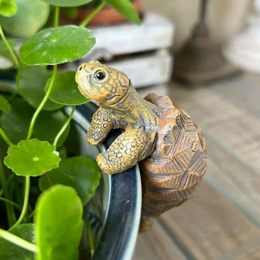 Fishing Turtle Hanging Turtle  - Aquarium Fish To Buy 리뷰 및 가격