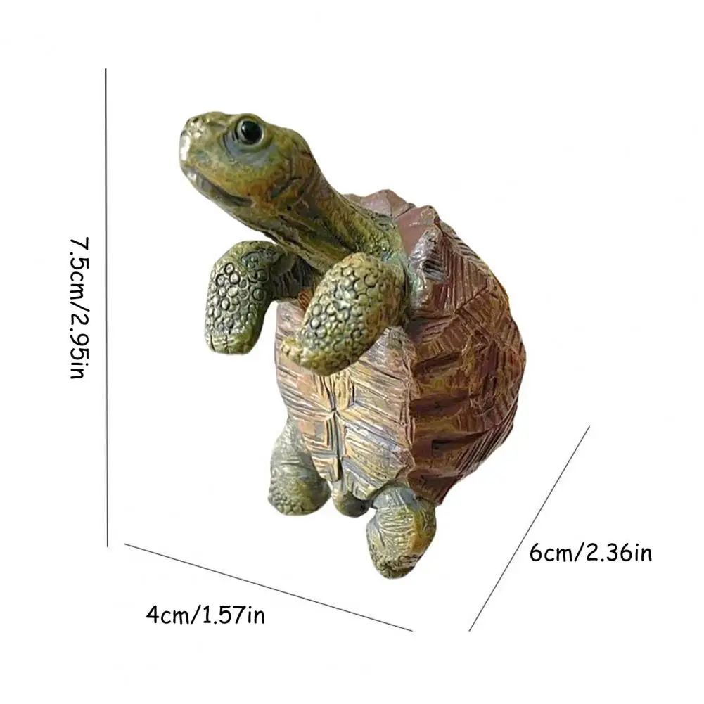 Fishing Turtle Hanging Turtle  - Aquarium Fish To Buy 리뷰 및 가격