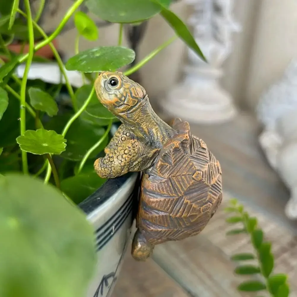 Fishing Turtle Hanging Turtle  - Aquarium Fish To Buy 리뷰 및 가격