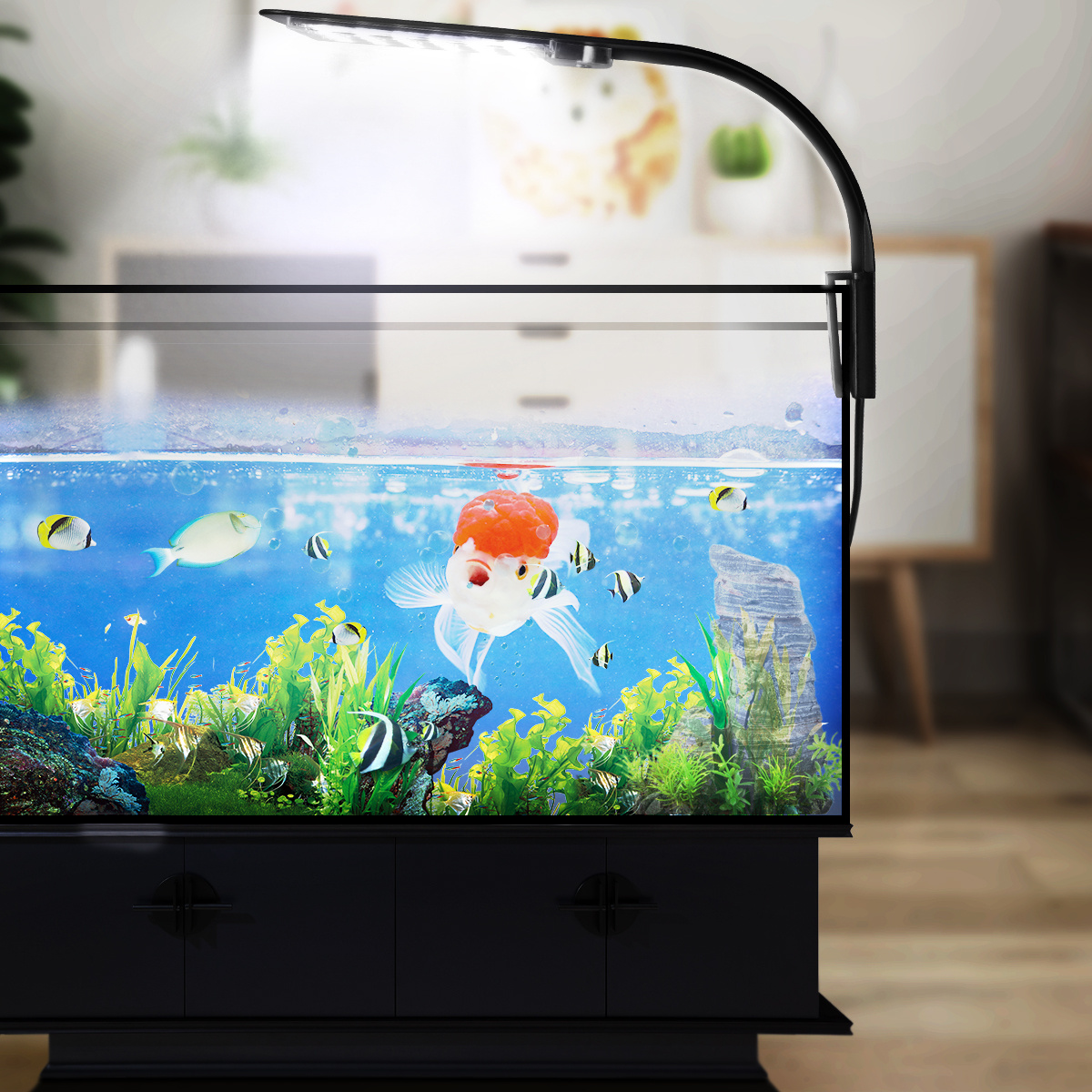 LED Aquarium Light for Plants  - Aquarium Fish With Long Lifespan 리뷰 및 가격