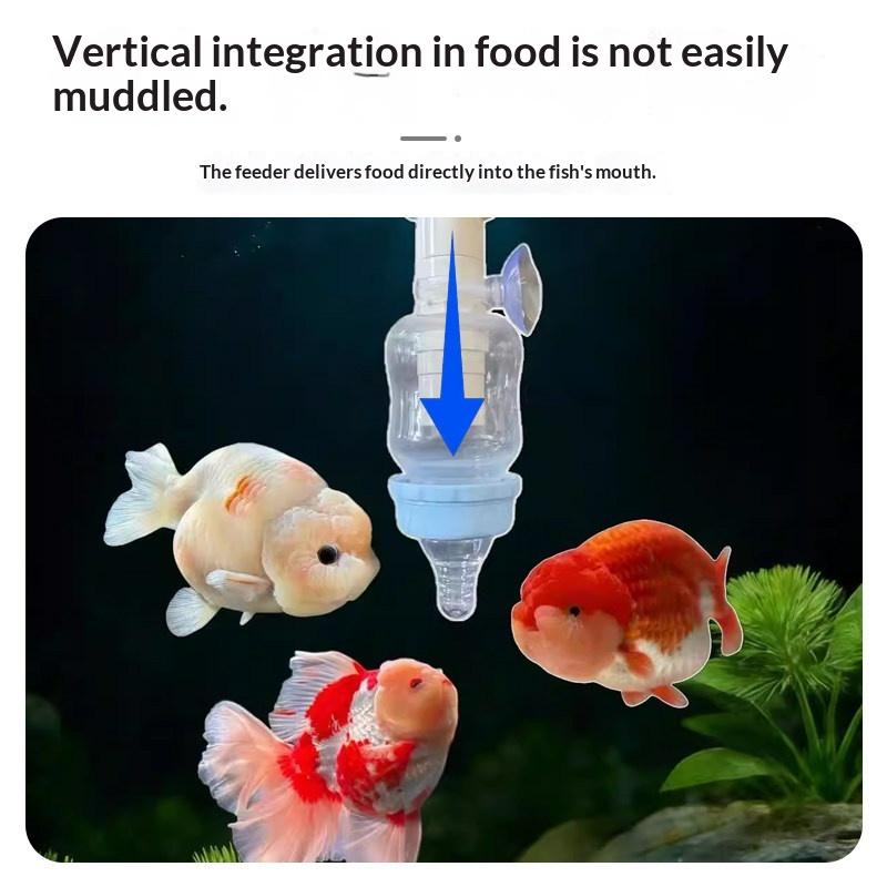 1pcs Precise Fish Pacifier Fee - Aquarium Fish Feeder 리뷰 및 가격