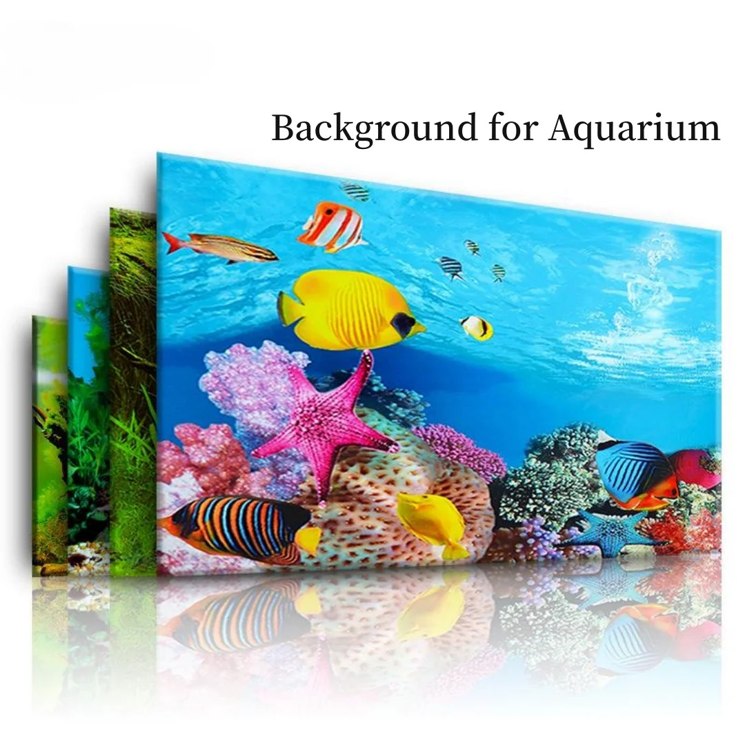 Background Aquarium 3D Sticker - Aquarium Fish Enrichment 리뷰 및 가격