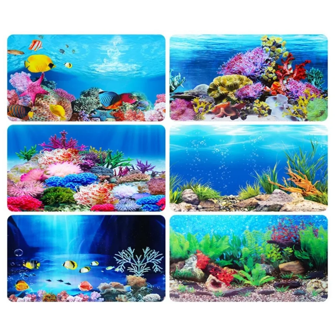 Background Aquarium 3D Sticker - Aquarium Fish Enrichment 리뷰 및 가격