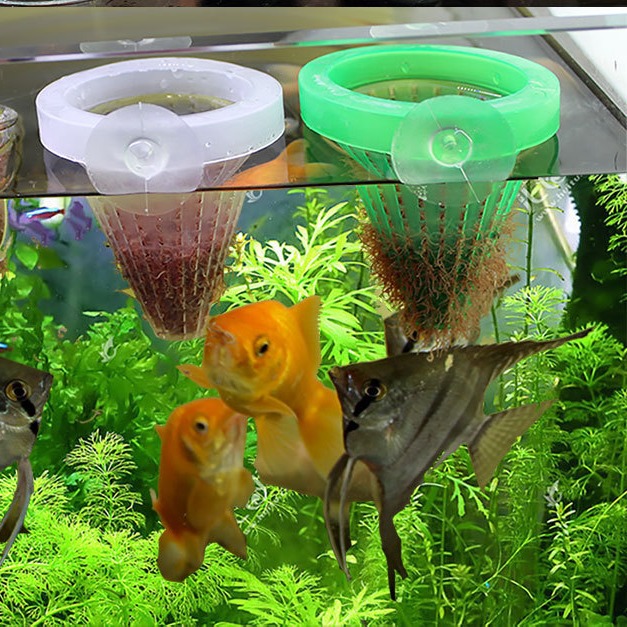 5Pcs Aquarium Red Worm Feeder  - Aquarium Fish Feeder 리뷰 및 가격