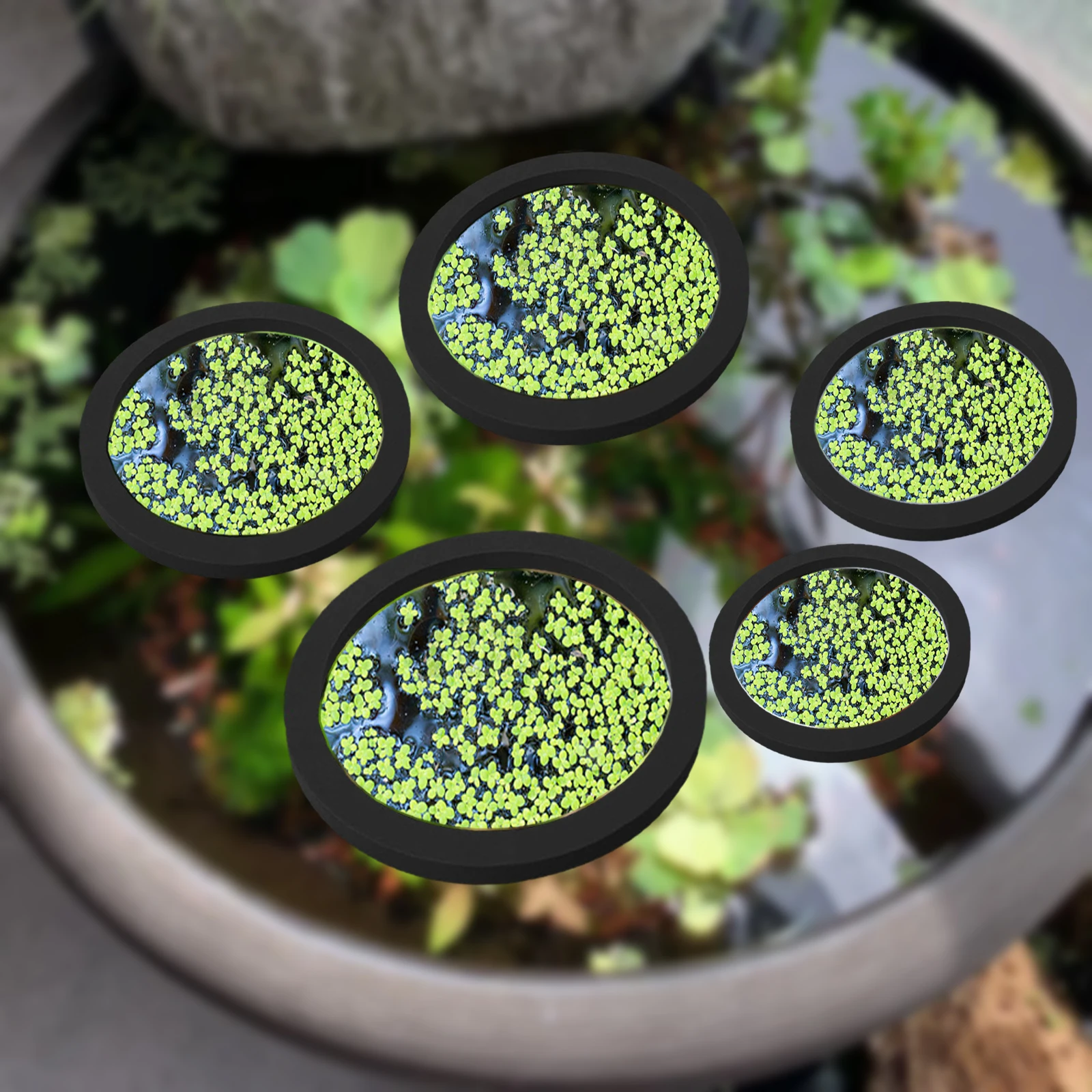 5Pcs EVA Fish Feeding Ring Aqu - Aquarium Fish Tank 리뷰 및 가격
