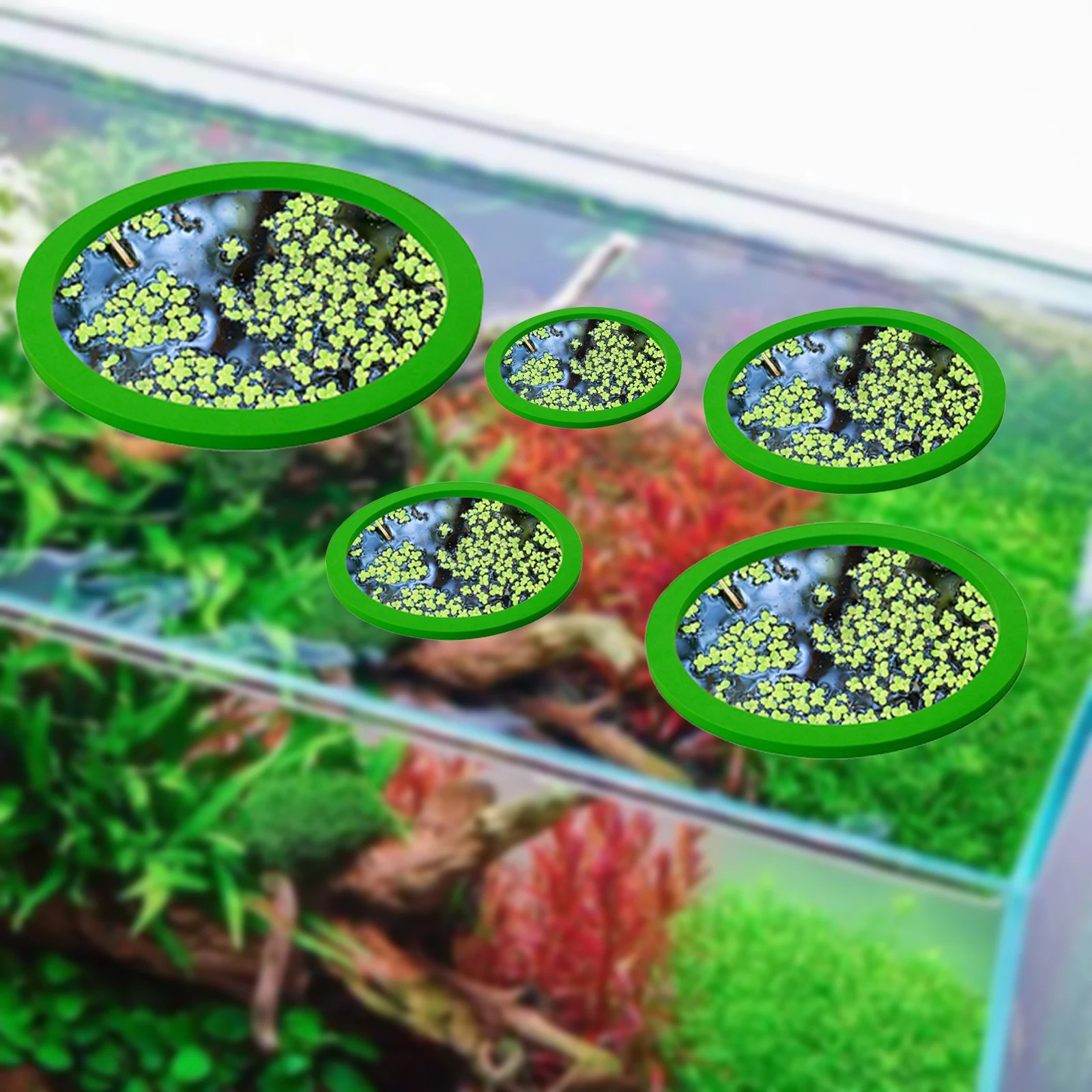 5Pcs EVA Fish Feeding Ring Aqu - Aquarium Fish Tank 리뷰 및 가격